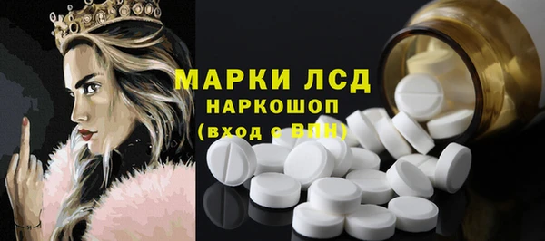 сатива Аркадак