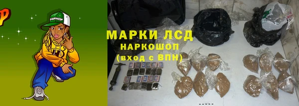 сатива Аркадак
