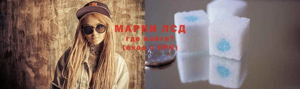 сатива Аркадак