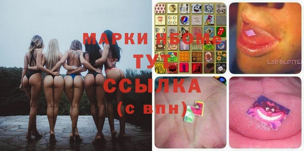 сатива Аркадак