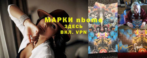 сатива Аркадак