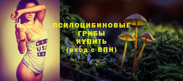 сатива Аркадак