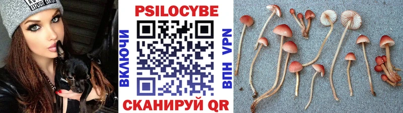 Псилоцибиновые грибы ЛСД  Купить  Спас-Деменск 